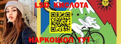 гидропоника Краснодар