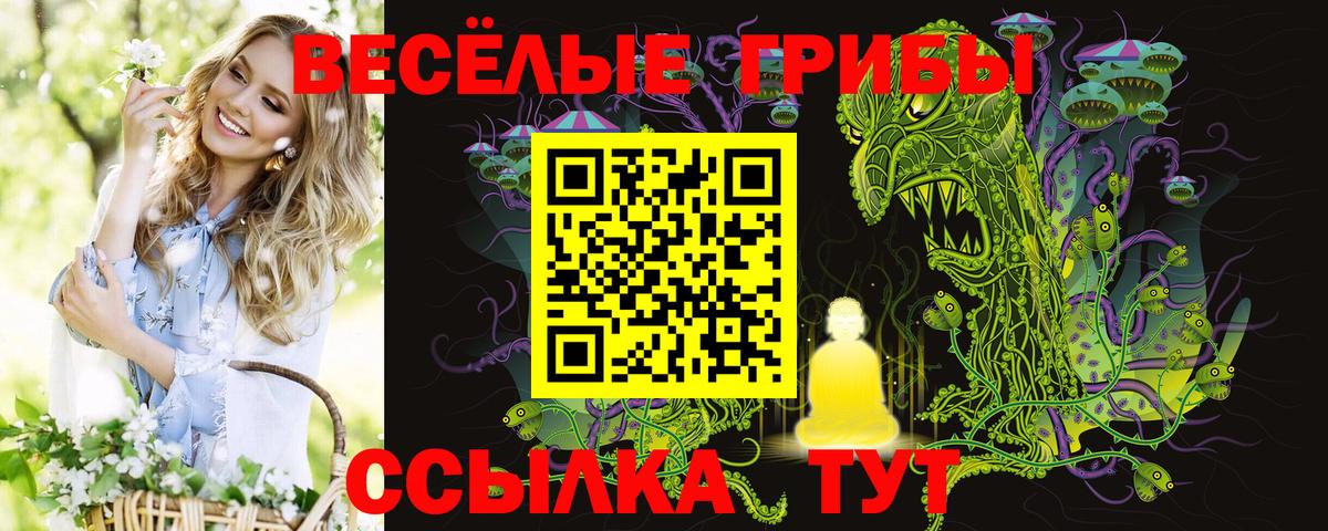 где купить наркоту  Вход с VPN  Кандалакша  Псилоцибиновые грибы мухоморы 